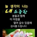 행복의료기 - 울진군 울진중앙로 165 | 행복의료기