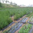 정인농장 이미지