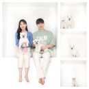 자양동구의역열린동물약국 | [광진/구의] 구의역 스튜디오 몬스터레빗 반려동물프로필촬영 후기