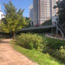 원천리천 이미지