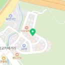 광교 애견유치원 애견호텔 바우스쿨 이미지