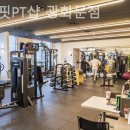 이브핏 이미지
