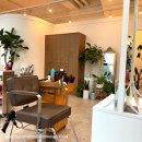 대전 도안동 펌을 잘하는 미은 Hair studio 1호점