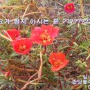 청천방앗간 이미지