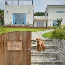 공간부춘 이미지