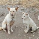 성룡농장 이미지