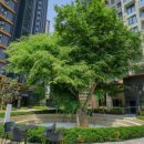 원세계조경 이미지