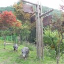 좌구산 휴양림 관리사무소 이미지