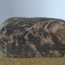 호사유피 이미지