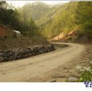 김삿갓면-3 티스토리