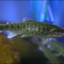 암반수낚시터 이미지