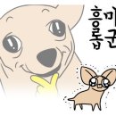 평화김해뒷고기진해 이미지