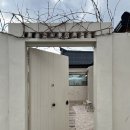 스테이 아모 이미지