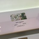 더현대 서울 프라다, mac 맥 메이크업 쇼 럭키드로우 후기