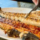 장어명가 지중해 이미지