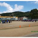 태안초등학교 이미지