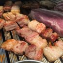 돌리고 제주도야지 이미지