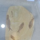 거제해양레포츠센터 이미지