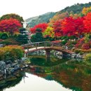 안성맞춤(제천) 이미지