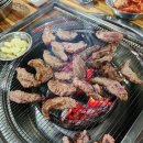 은행나무갈매기 이미지