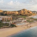 STAY PET SHOP 이미지