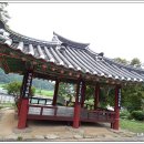 영광 침류정 이미지