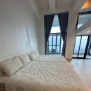 메이플 풀빌라 이미지