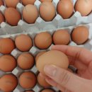 농업회사법인 (주)안일농장 이미지