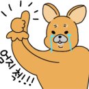 라인바이올린교습소 이미지