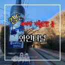 와인터널 | 아이랑 청도여행하다 들른 와인터널 후기