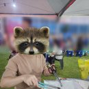 청원플라스틱 | 청주 문화제조창 한우축제 다녀왔어요 :: 한맥축제 저녁 방문 팁 &amp; 후기