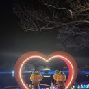 틀모산 도시숲 이미지