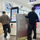 (주)한신온라인 | [일상] 정말 삼재일까요? 길고 길었던 11월 일상