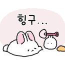 G(지)호텔 이미지