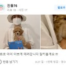 큐티댕냥 하남 본점 강아지 고양이 분양 이미지