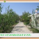 곰마을민박 이미지