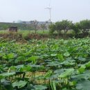 푸르른 농장 이미지