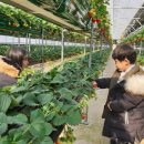 태건농장 이미지