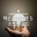 골드소프트 | 인테리어 무드등 : 렉슨 미나 조명 S 소프트골드 구매후기 : 생일선물 집들이 선물 추천