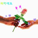 ◆ 밥상 위의 정력제 54 가지 ◆ 이미지