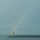 돌샘횟집 | 홍언니 일상 &lt; 칠암 아나고 돌샘 횟집 &gt;