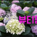 뷰티팜 이미지