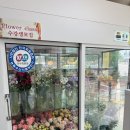 강릉 야외스냅 부케 행복한꽃순이 거베라, 빨간장미부케 후기