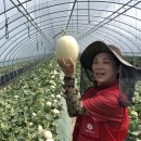 가브리엘농장 이미지