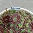 유풍약국 이미지