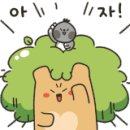 지아네상점 이미지