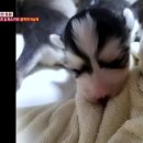 유순농장 이미지