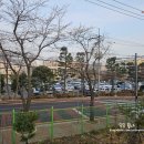 한강 | 2026 김포한강마라톤 후기 5km