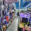 광원수족관 이미지