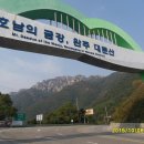육미관고기타운 이미지
